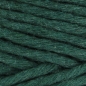 Preview: Hoooked Spesso Chunky Cotton Pine 127 Meter