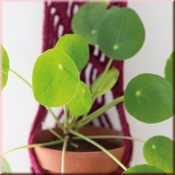 Preview: Makrameanleitung Blumenampel Bali