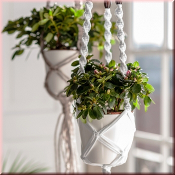 Preview: Makrameanleitung Blumenampel Zpagetti