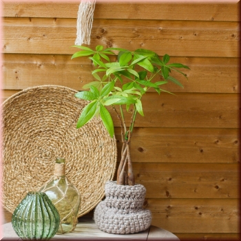 Preview: Häkelanleitung Korb Santos