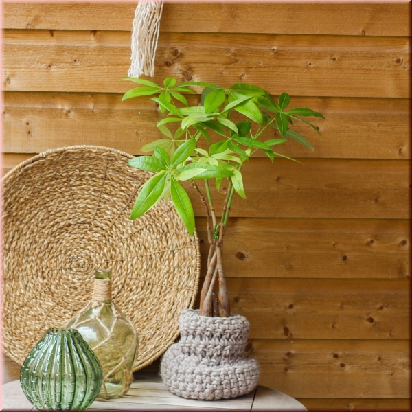 Häkelanleitung Korb Santos