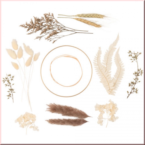 DIY-Set für Trockenblumenkränze, ecru, perfekt für Macrame